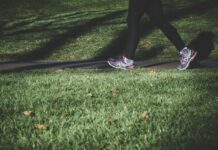 사무실에 갇힌 직장인, 건강을 지키는 스마트한 습관 5가지 shallow focus photography of person walking on road between grass