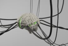일상 속에서 챙기는 뇌 건강…작은 습관이 미래를 바꾼다 A computer generated image of a brain surrounded by wires