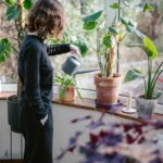 ‘마음 청소’로 활력을 찾다… 스트레스 관리를 위한 일상 속 작은 변화들 a woman watering plants in a window sill