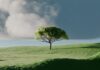 집에서도 실천하는 ‘마음 챙김’ 루틴, 일상에 활력을 더하다 A single tree on a vibrant green rolling hill.